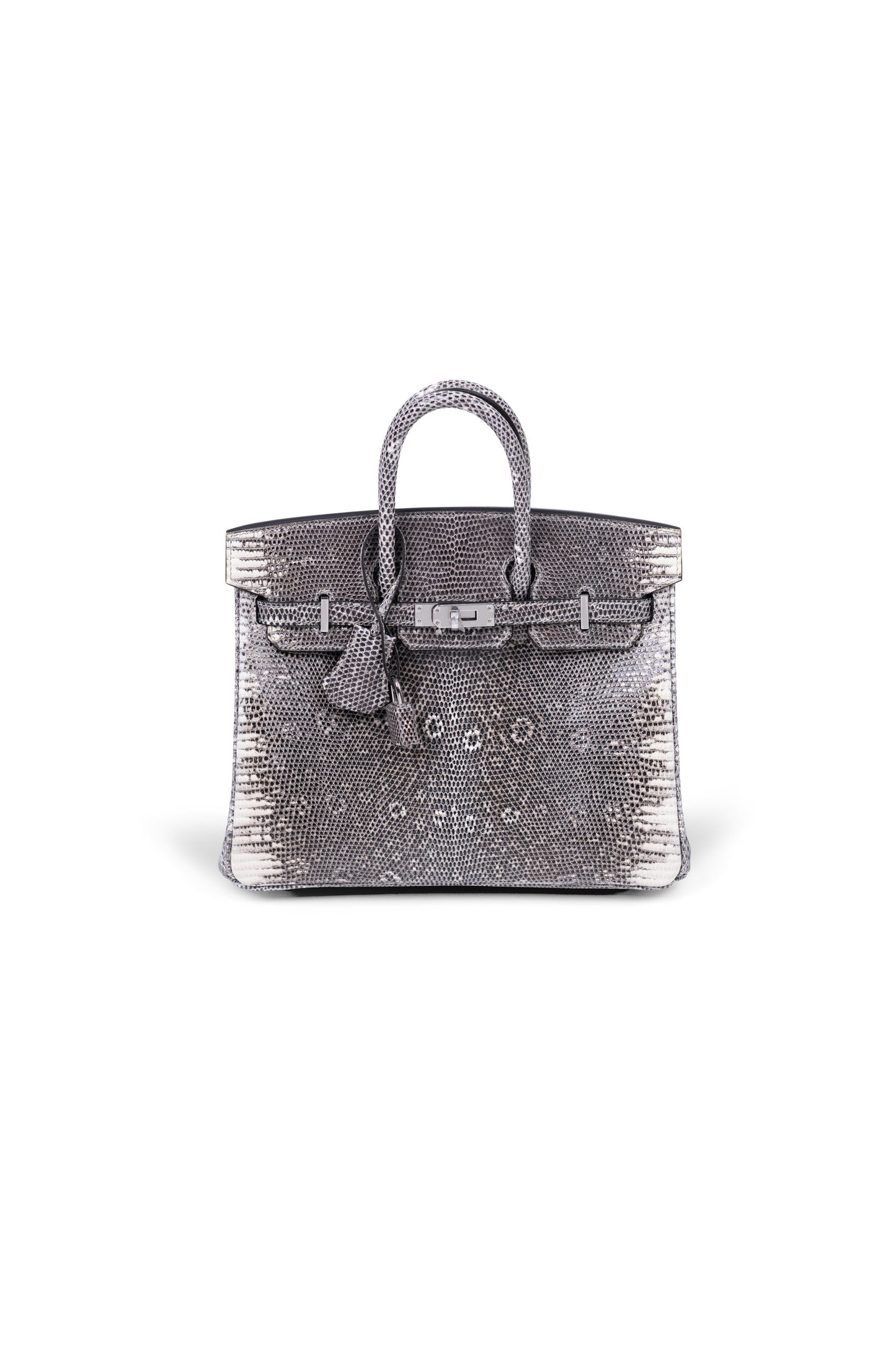 Hermès Super Rare Ombre Lizard Birkin 25 CM