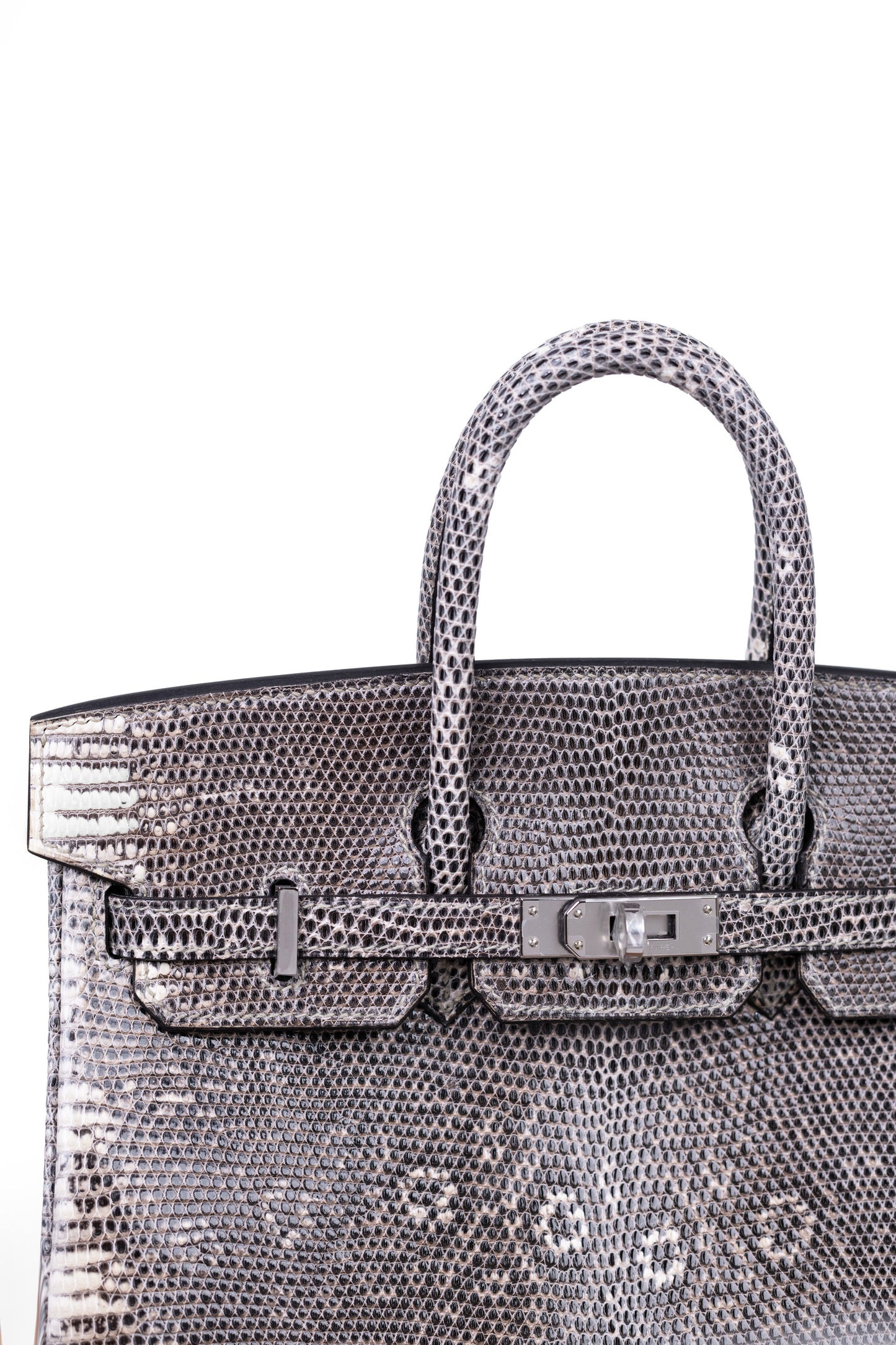 Hermès Super Rare Ombre Lizard Birkin 25 CM