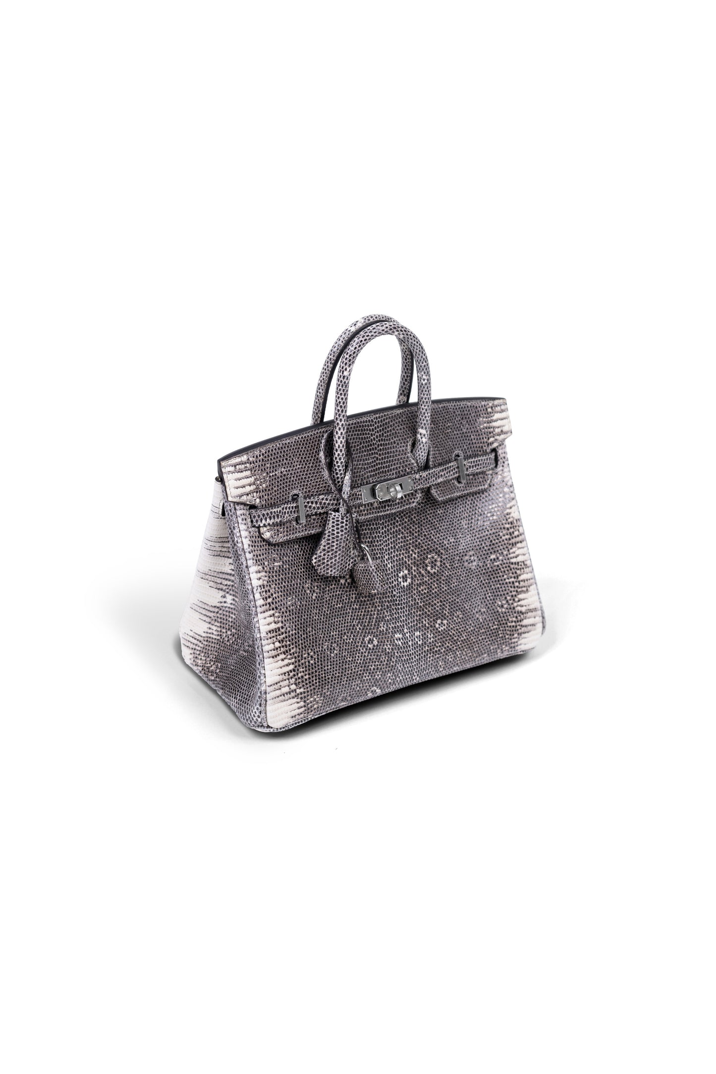 Hermès Super Rare Ombre Lizard Birkin 25 CM