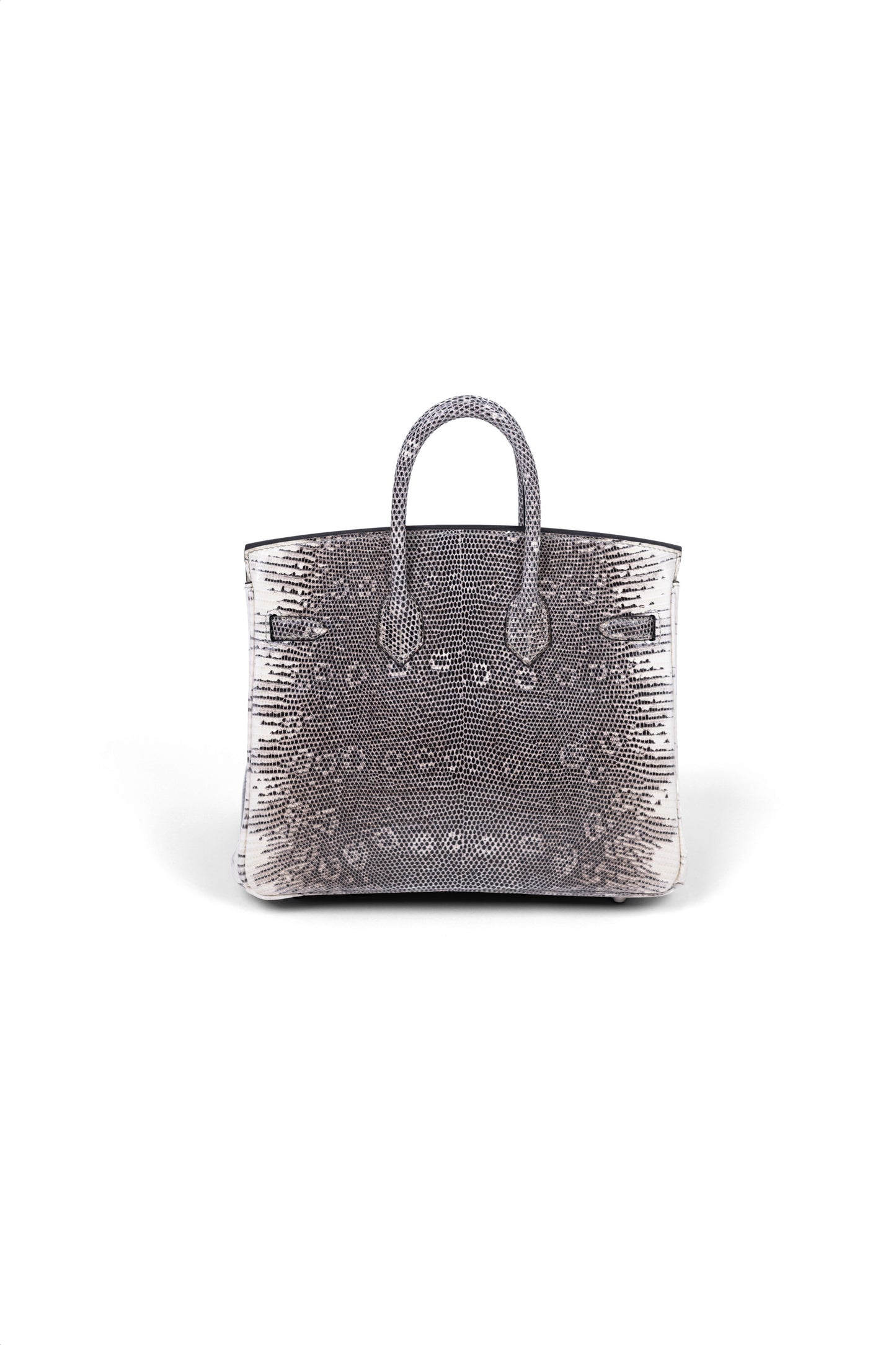 Hermès Super Rare Ombre Lizard Birkin 25 CM
