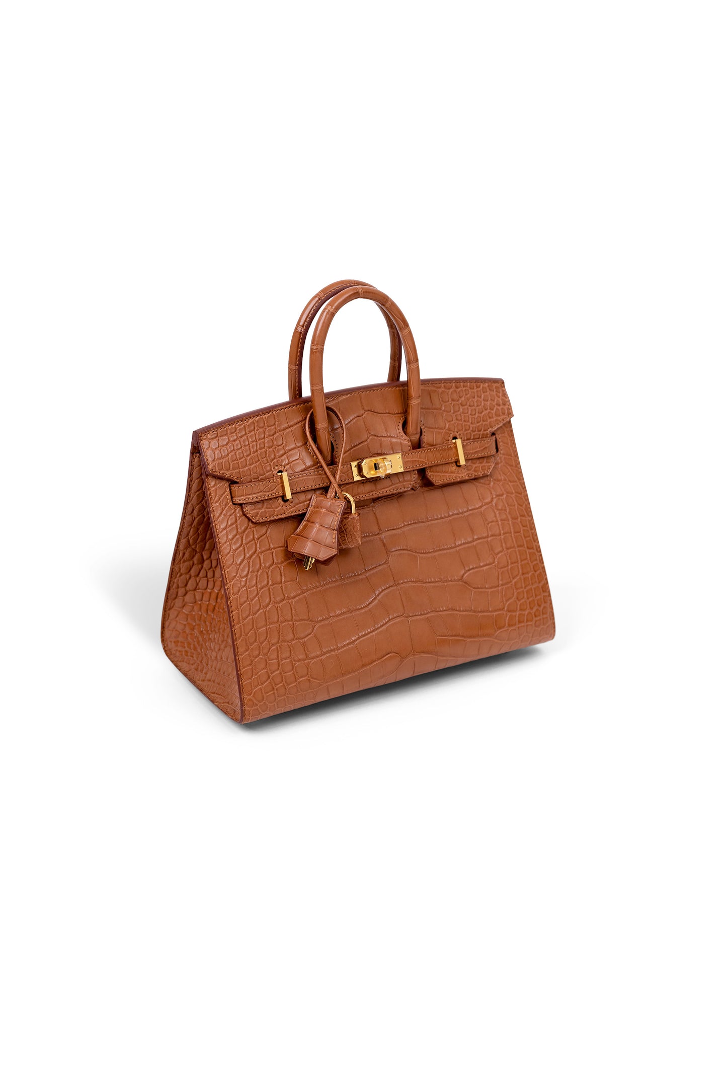 Hermés Birkin 25 Matte Alligator Gold GHW