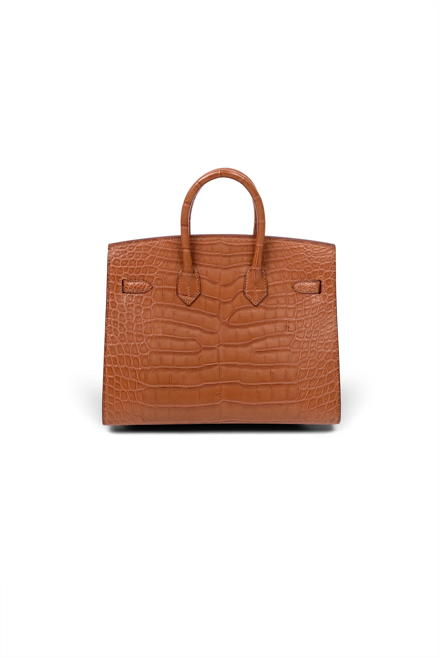 Hermés Birkin 25 Matte Alligator Gold GHW
