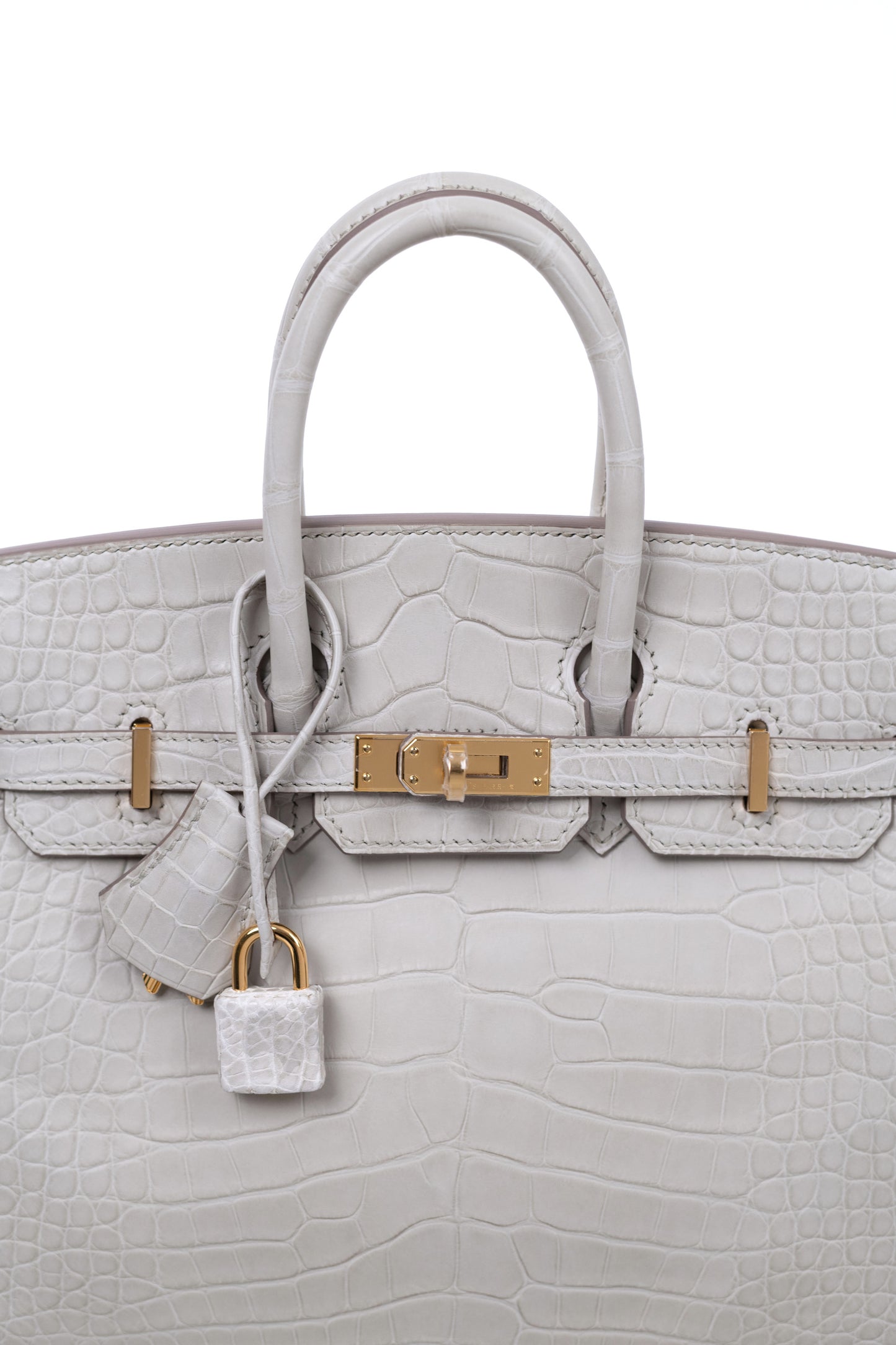 Birkin 25 in Matte Alligator Beton GHW