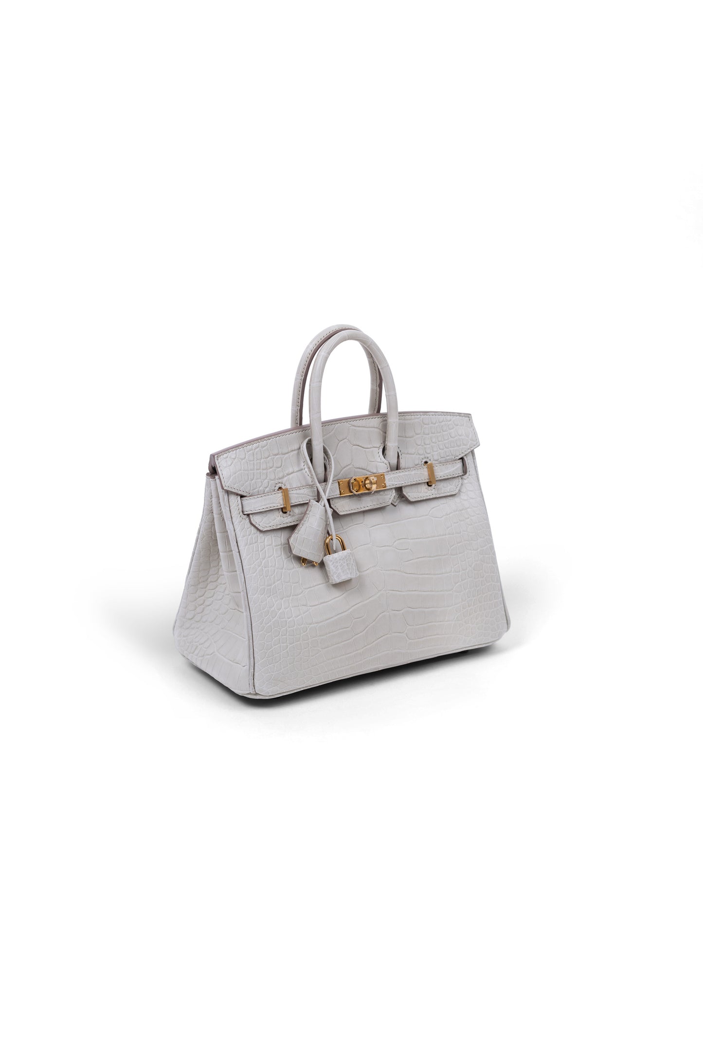 Birkin 25 in Matte Alligator Beton GHW