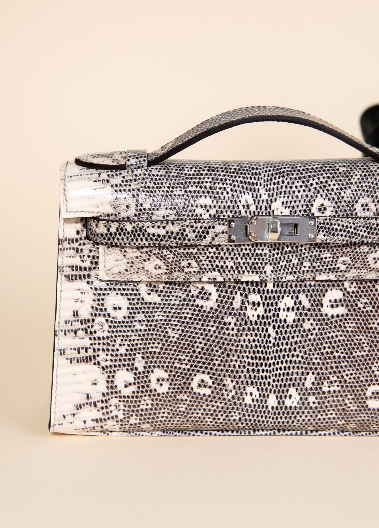 Hermès - Kelly Pochette in Ombré Lizard PHW