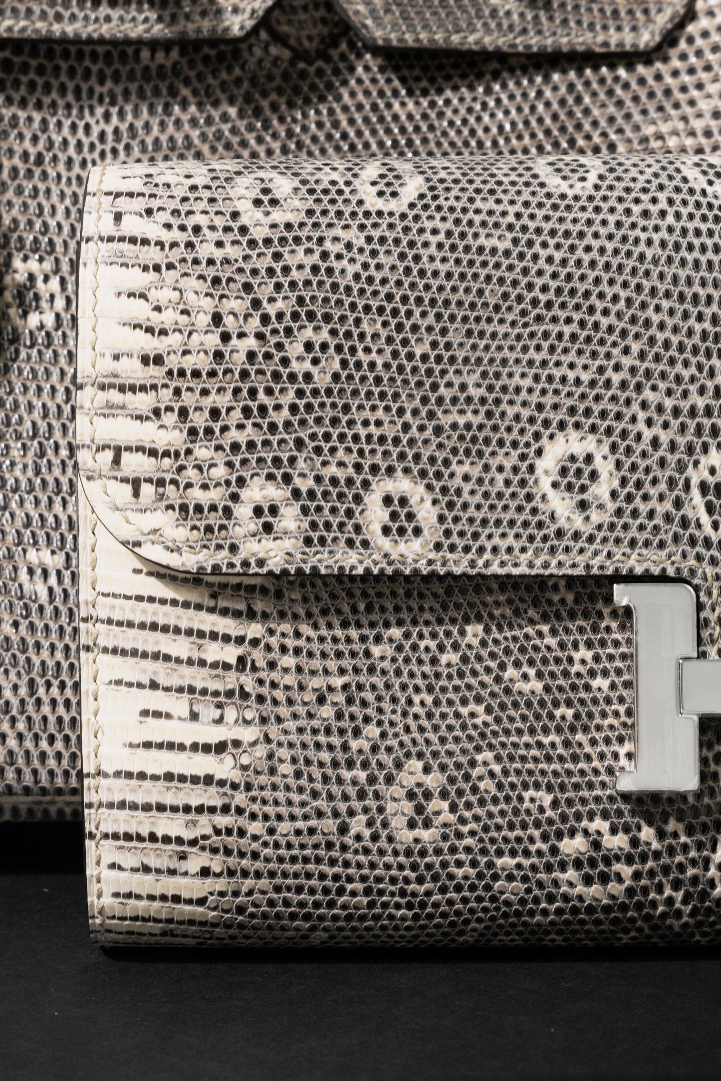 Hermès Birkin 25 & Constance Wallet To Go in Ombré Lizard PHW