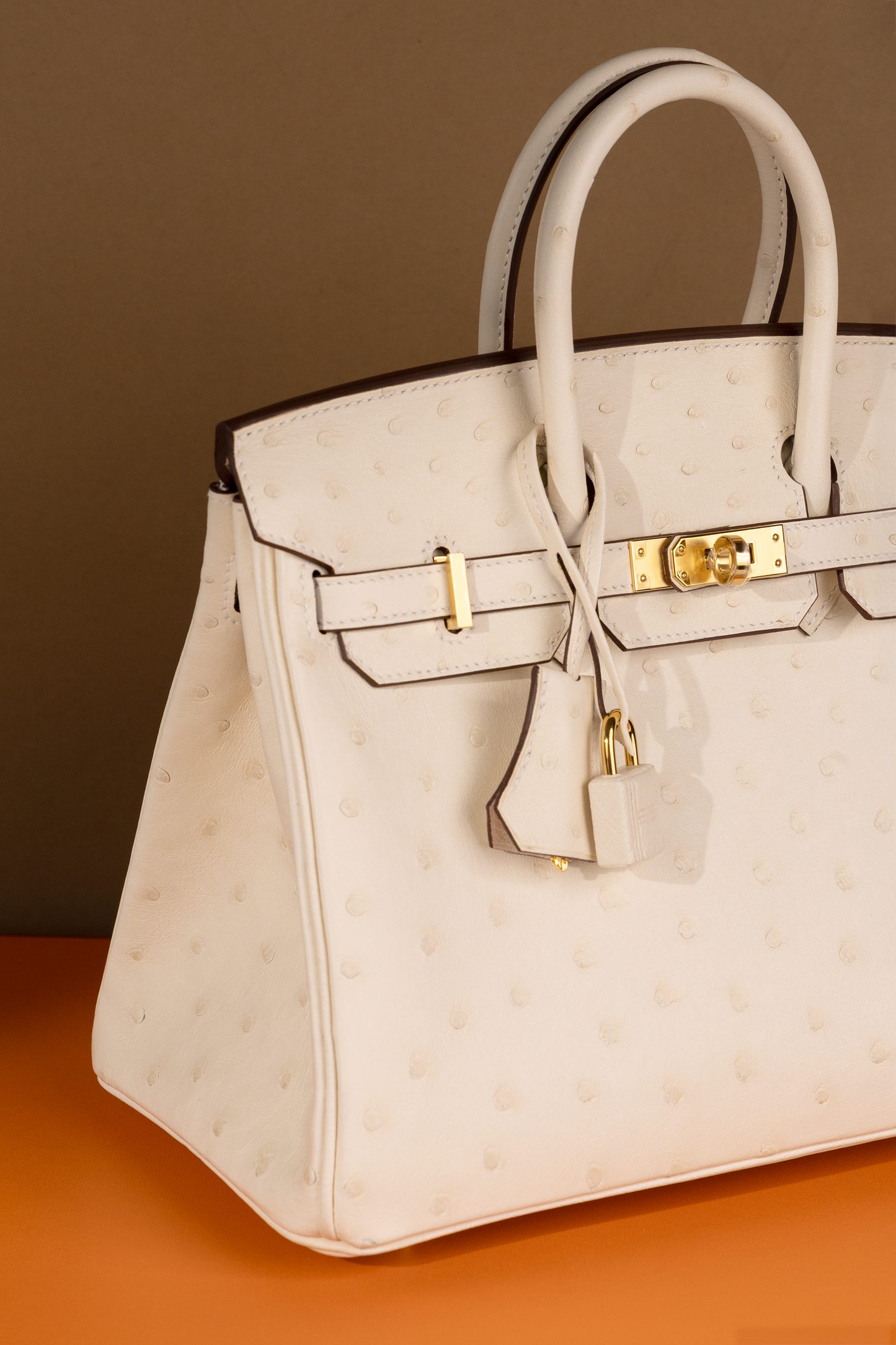 Hermès Birkin 25 Ostrich Nata GHW