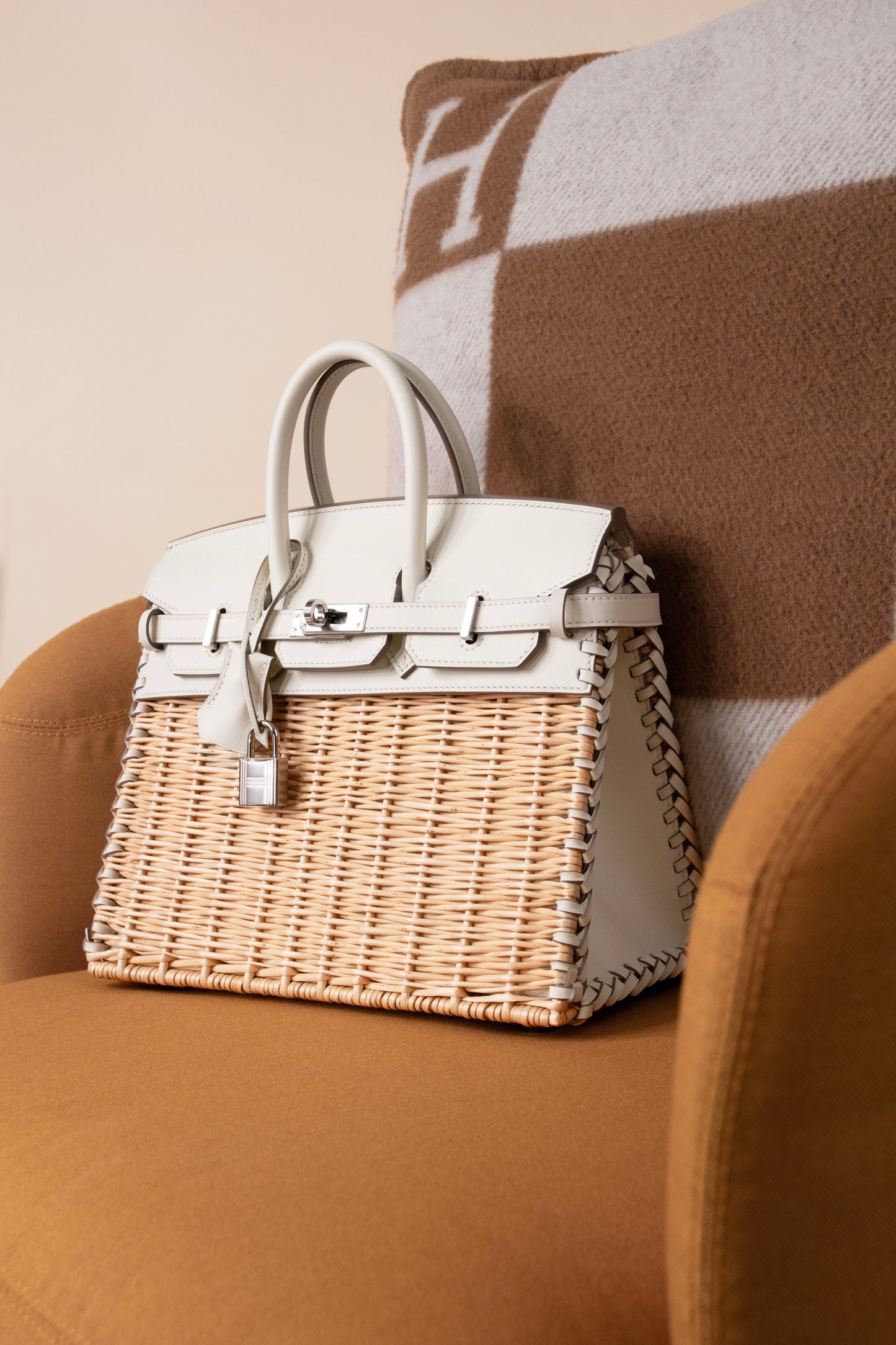 Hermès Birkin Picnic 25 in Mushroom PHW