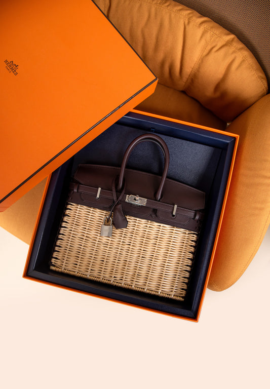 Birkin 25 Picnic in Rouge Sellier with Silver Hardware