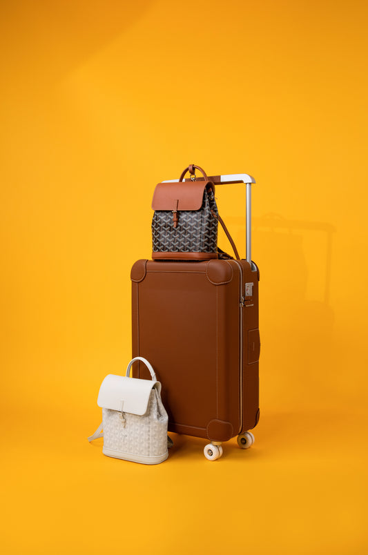 Hermès R.M.S Suitcase & Goyard Alpin Mini Backpack in White & Tan/Black