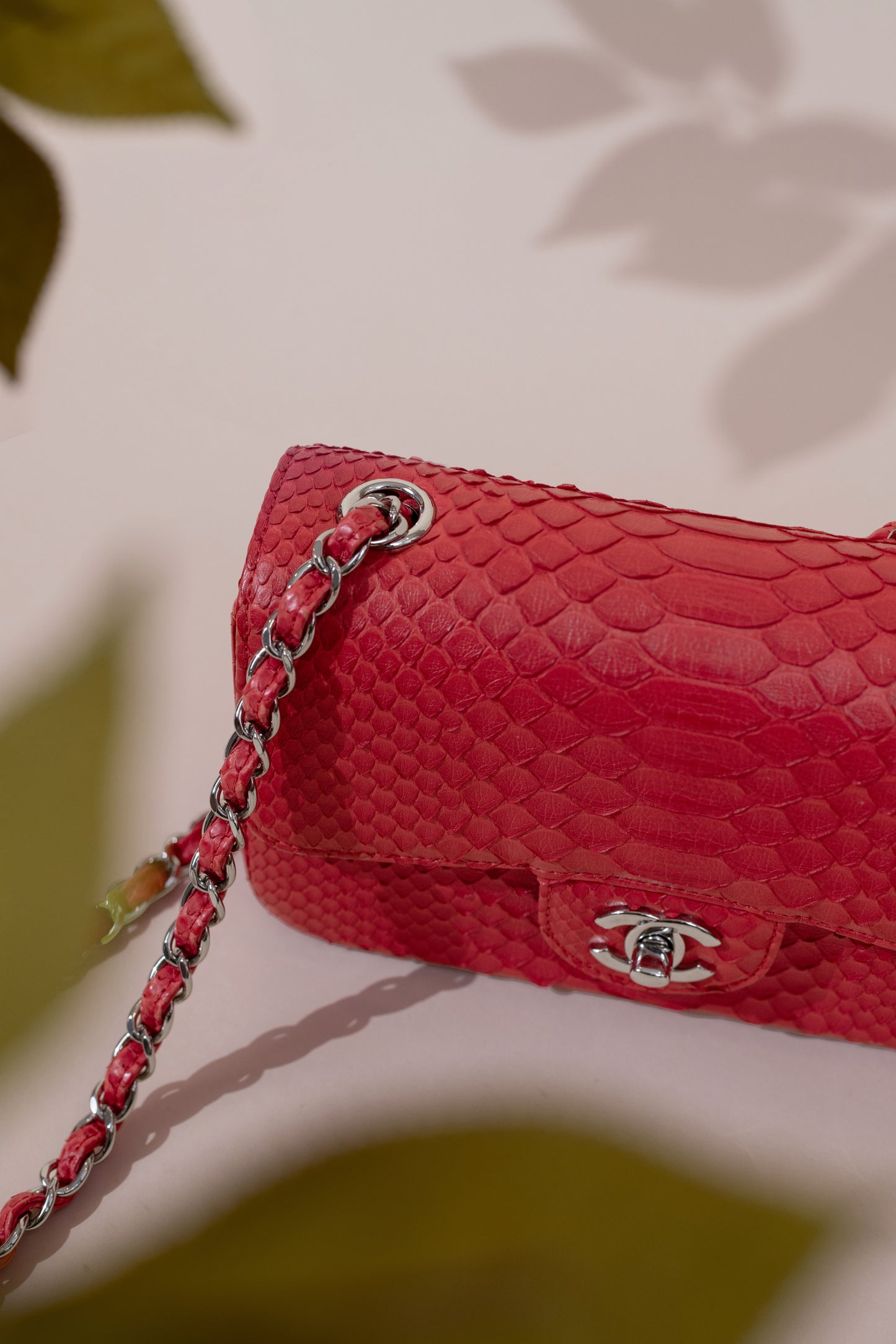 Chanel Mini Python Flap Bag in Red