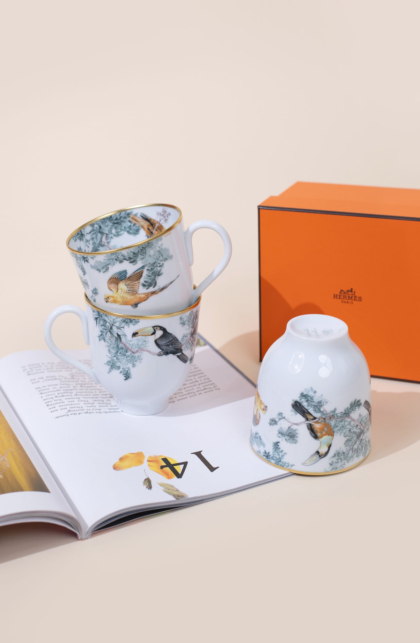 Hermès Carnets d’Equateur Mug