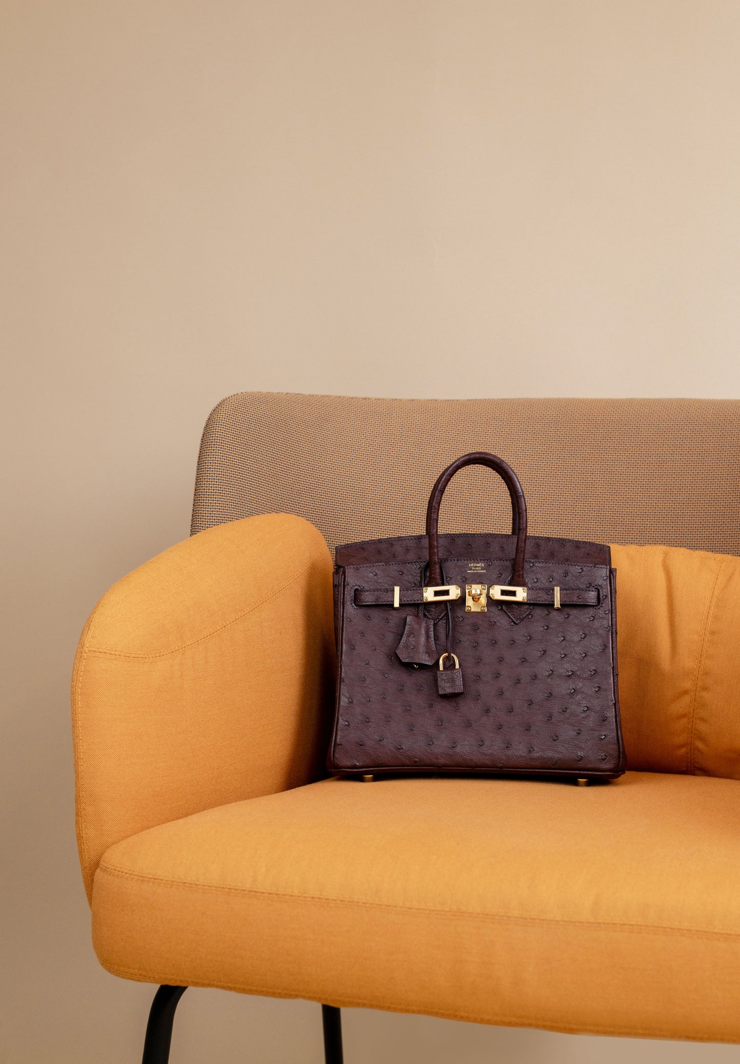 Hermès Birkin 25 Ostrich in Rouge Sellier GHW