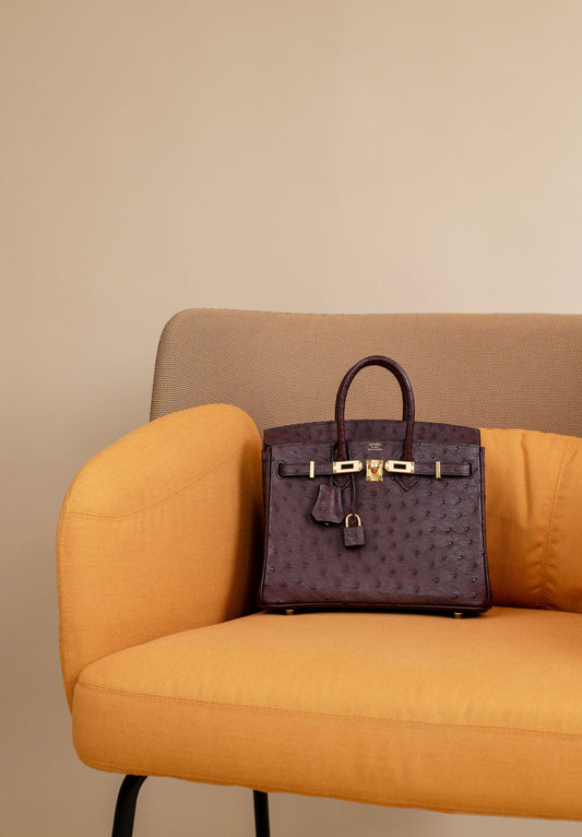 Hermès Birkin 25 Ostrich in Rouge Sellier GHW