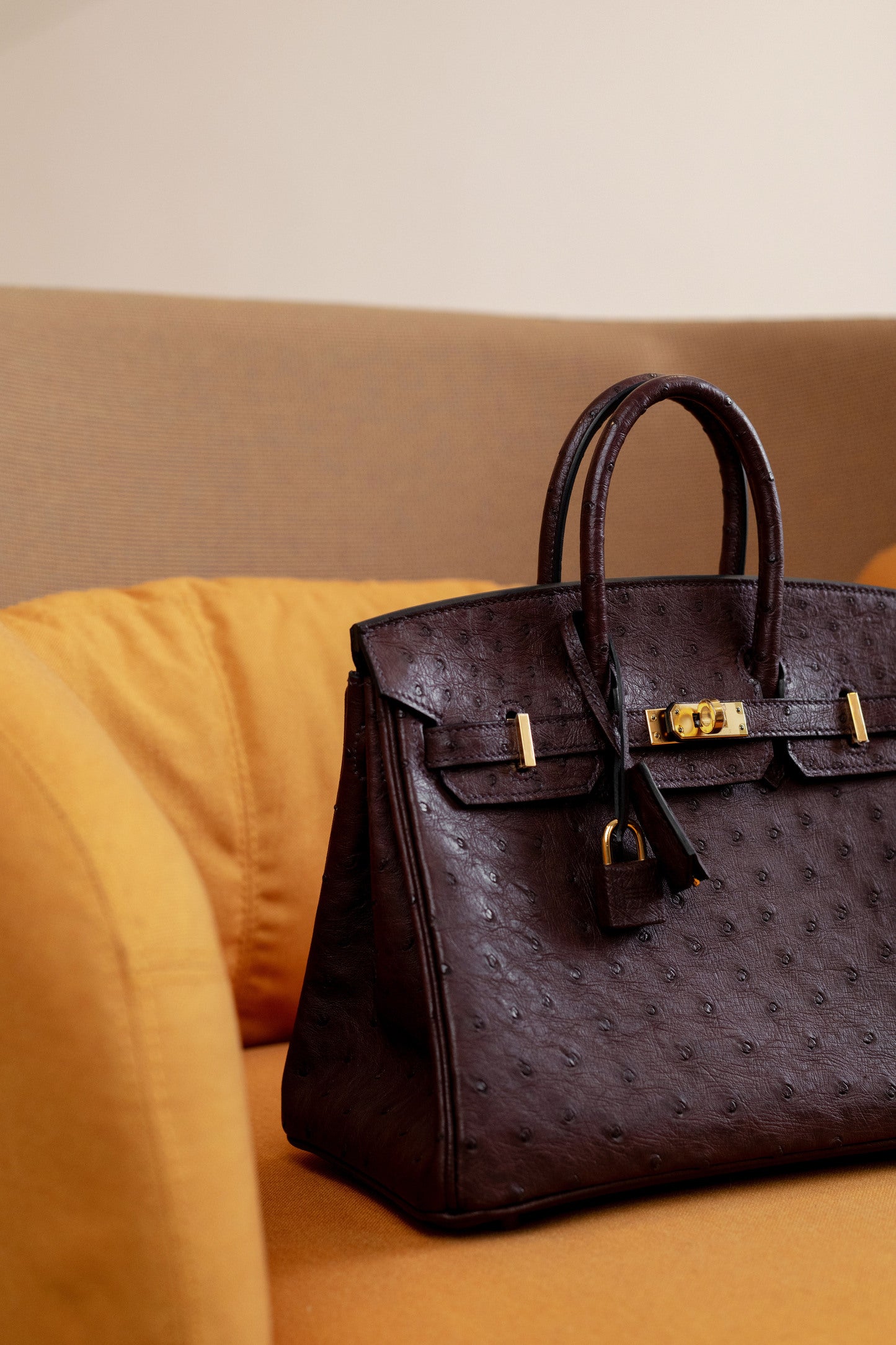 Hermès Birkin 25 Ostrich in Rouge Sellier GHW