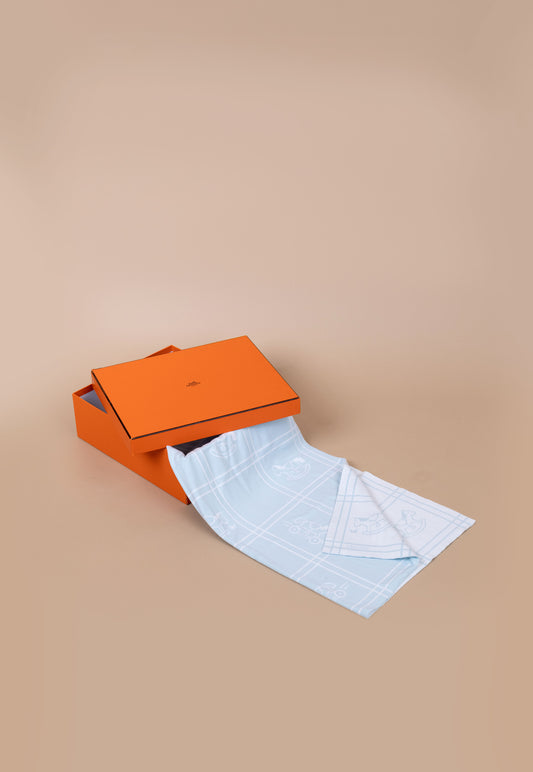 Hermès Baby Blanket in Blue