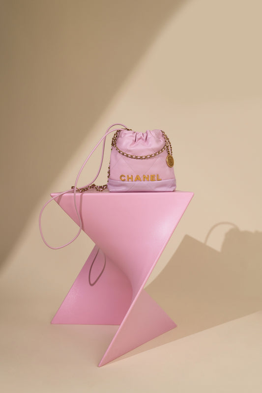 Chanel Small Pink Hobo Bag