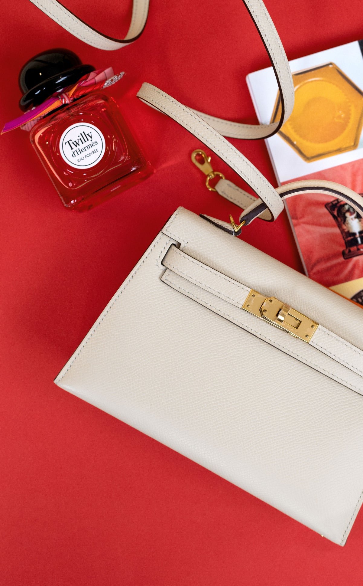 Hermès Mini Kelly 20 Epsom in Nata GHW