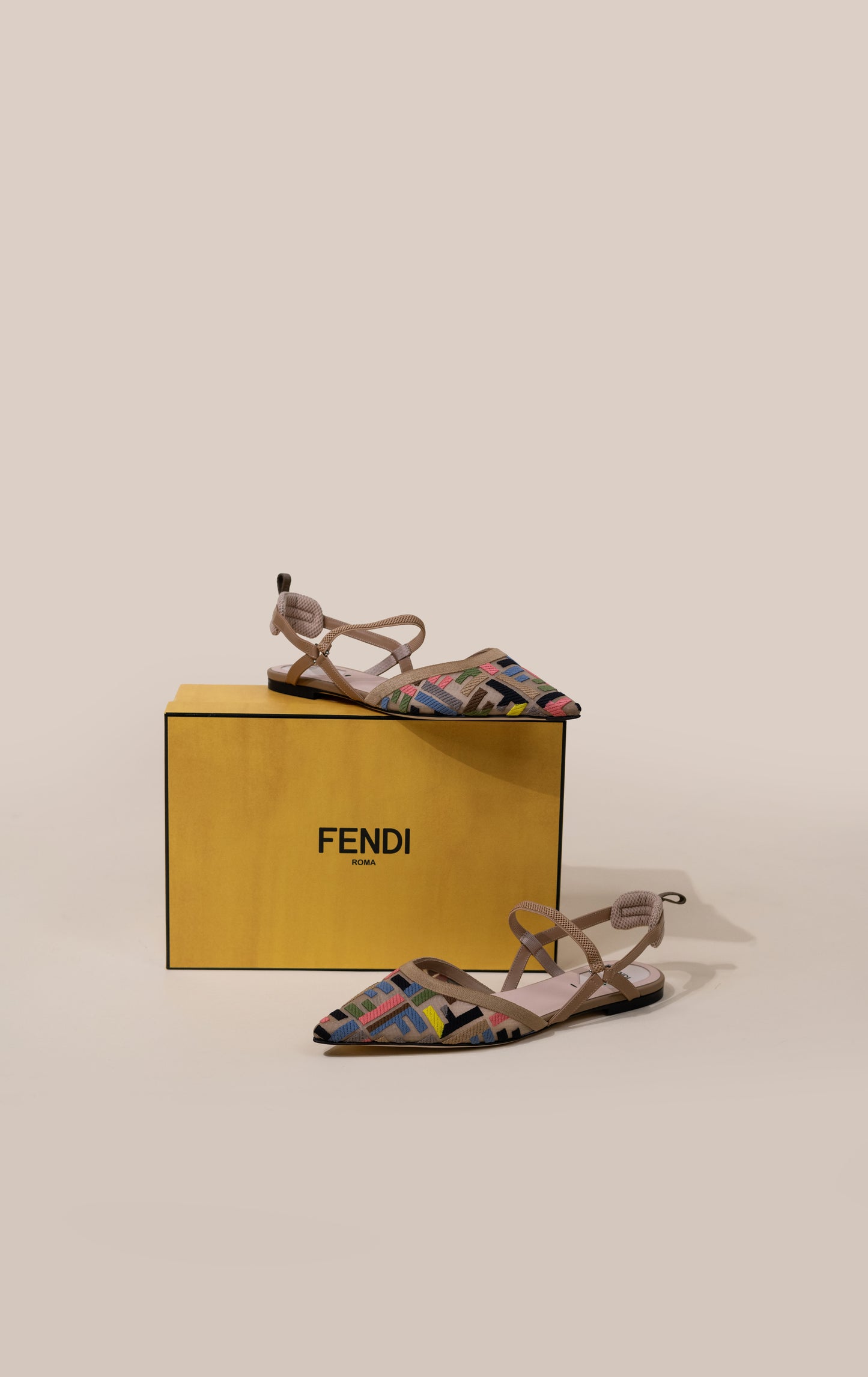 Fendi Colibrì Lite Slingbacks in Multicolor Mesh