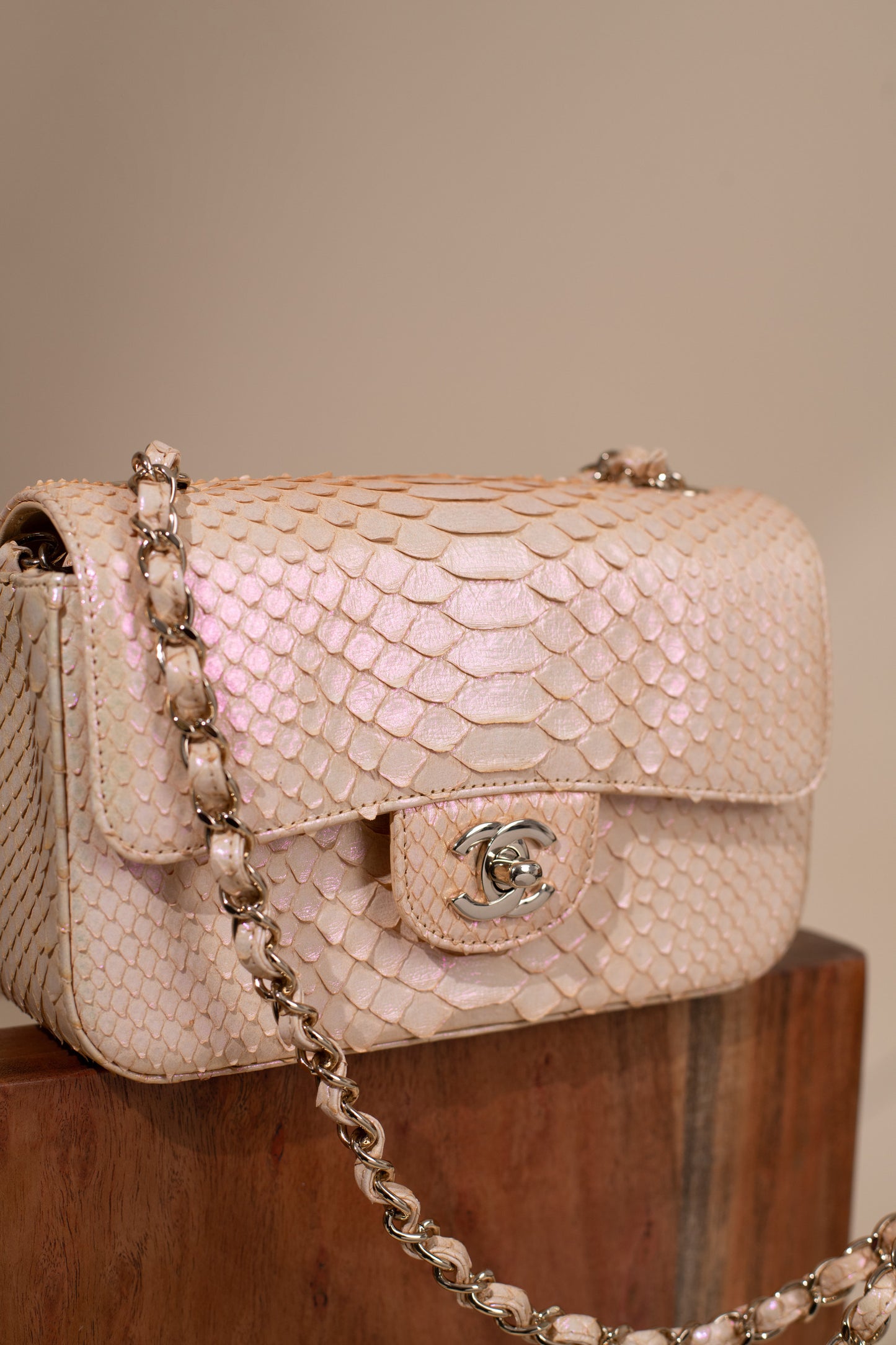 Chanel Mini Python Flap Bag in Beige Iridescent