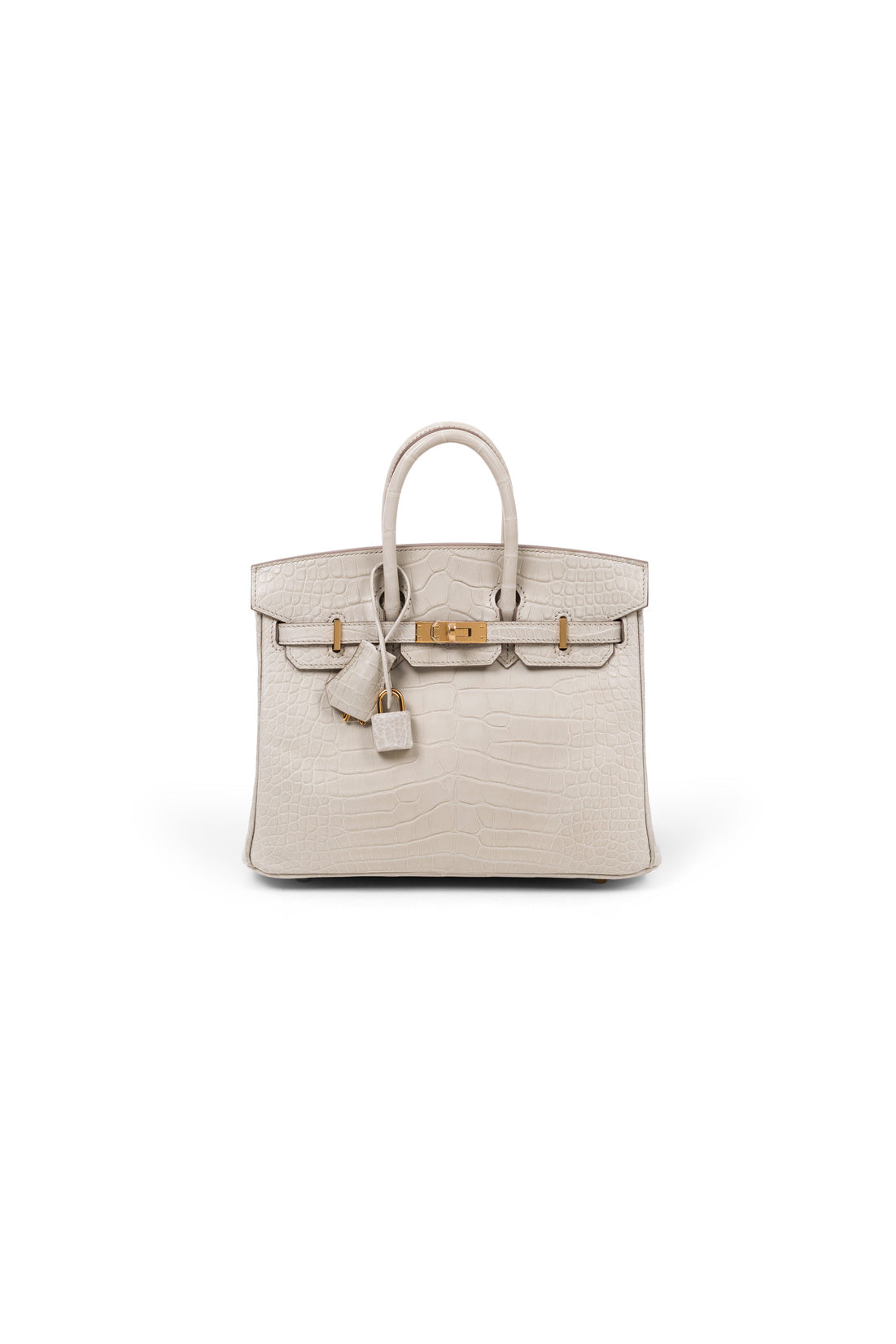 Birkin 25 in Matte Alligator Beton GHW