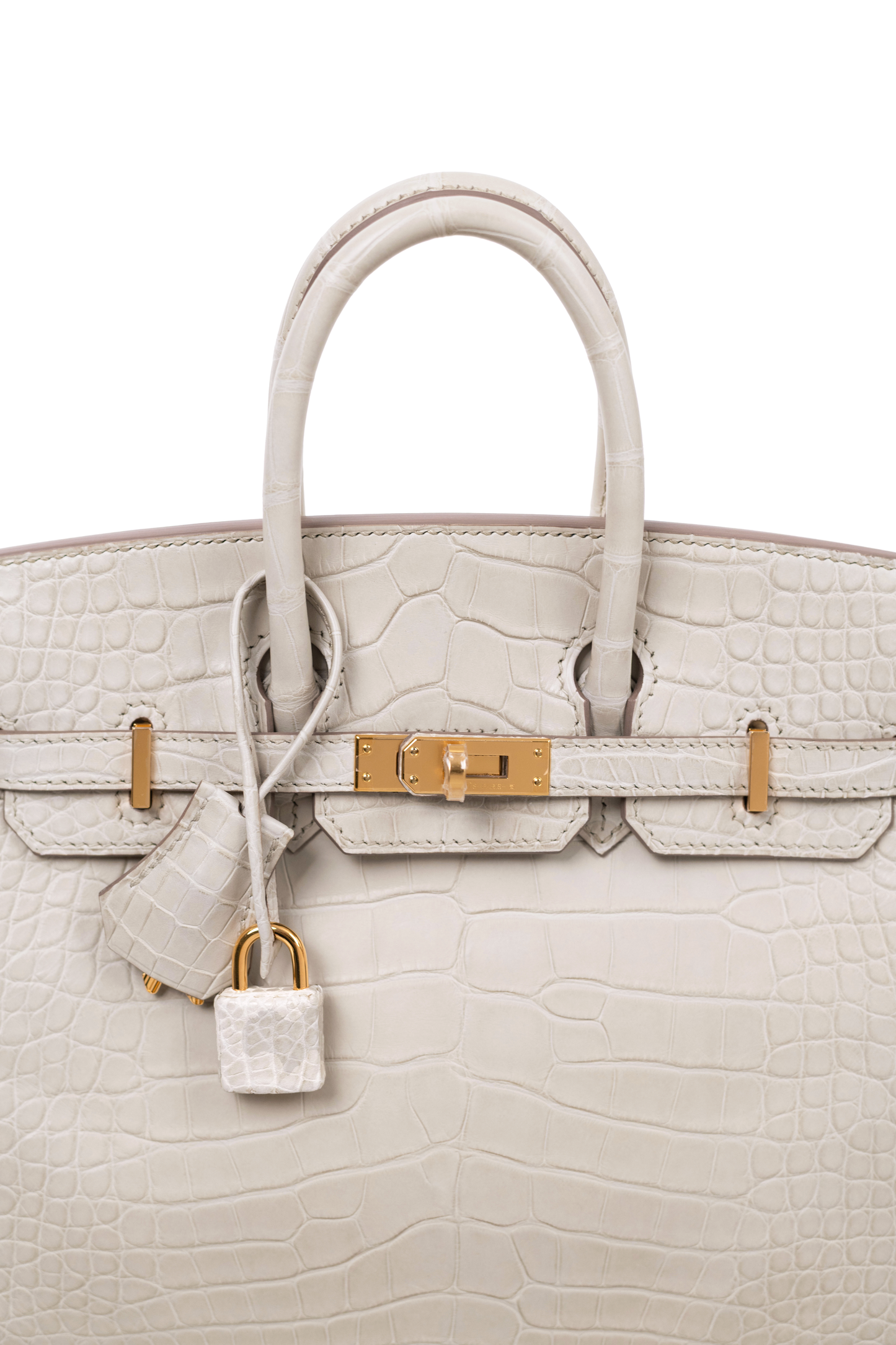 Birkin 25 in Matte Alligator Beton GHW