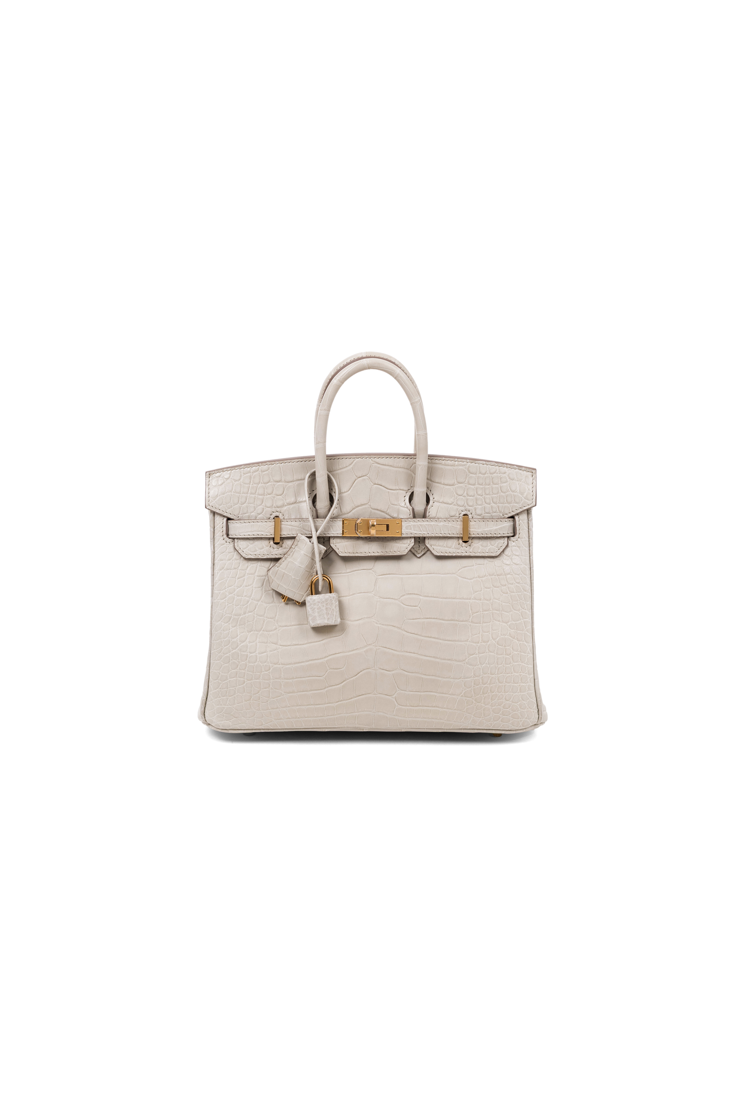 Birkin 25 in Matte Alligator Beton GHW