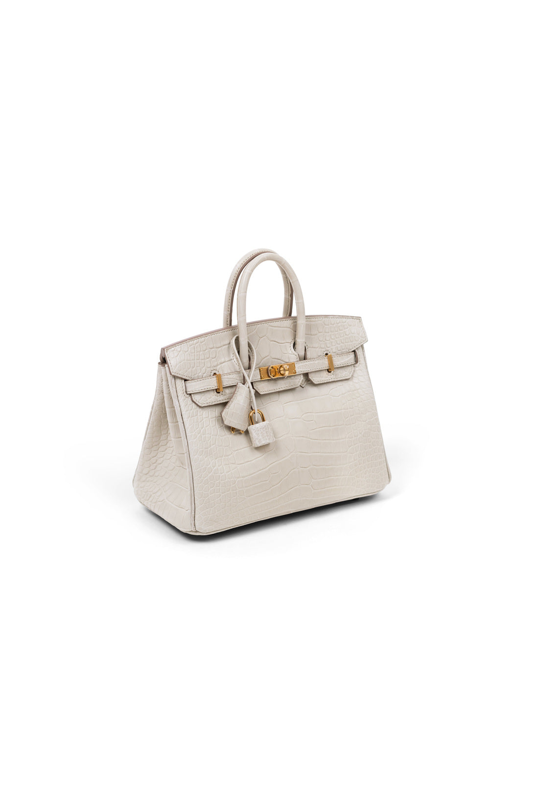 Birkin 25 in Matte Alligator Beton GHW