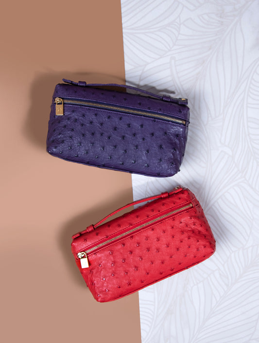 Loro Piana L19 Ostrich Leather Pouch in Purple & Lipstick