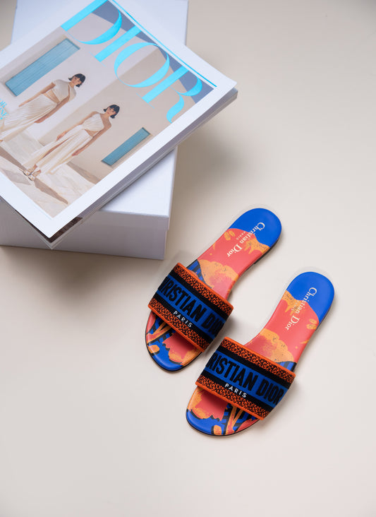 Dior Dway Slide in Multicolor Blue