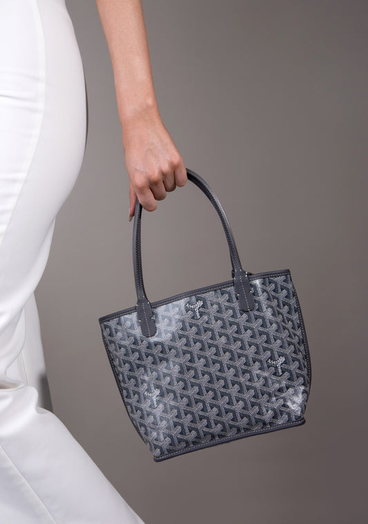 Goyard Sac Anjou Mini Bag in Grey