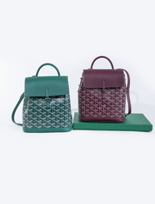 Goyard Alpin Mini Backpack in Green & Burgundy