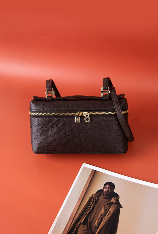 Loro Piana - Extra Pocket Pouch L19 in Brown Ostrich