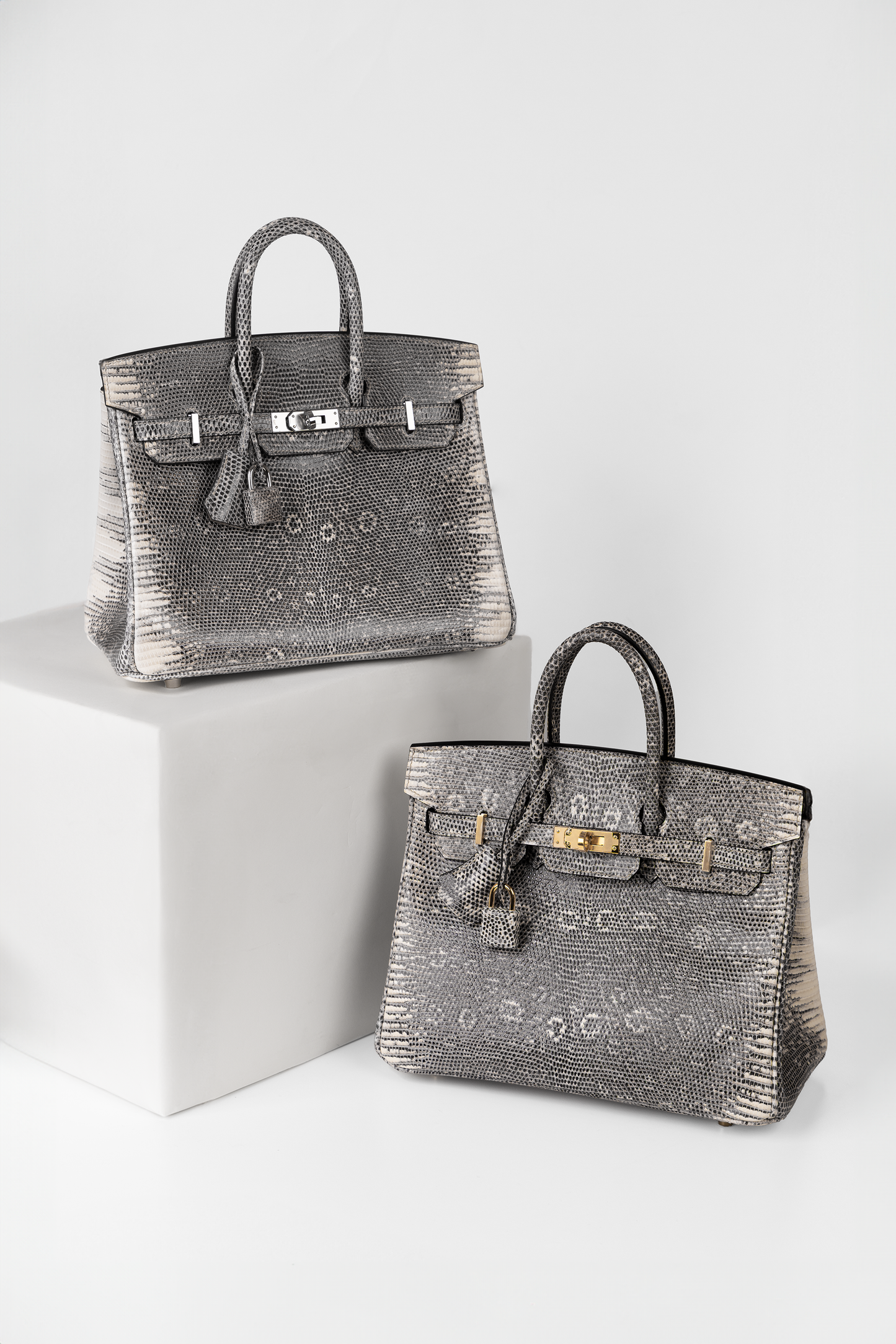 Hermès Birkin 25 Ombré Lizard in PHW & GHW