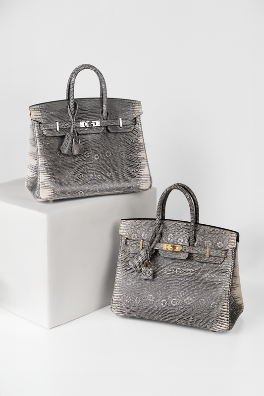 Hermès Birkin 25 Ombré Lizard in PHW & GHW