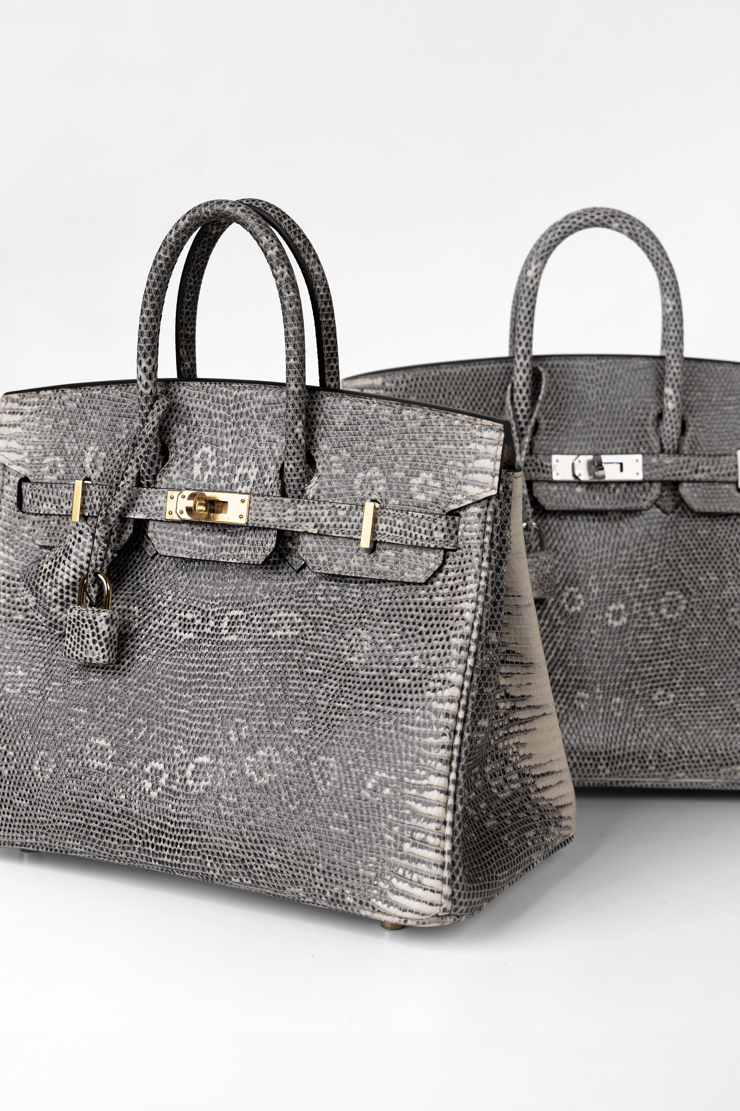 Hermès Birkin 25 Ombré Lizard in PHW & GHW