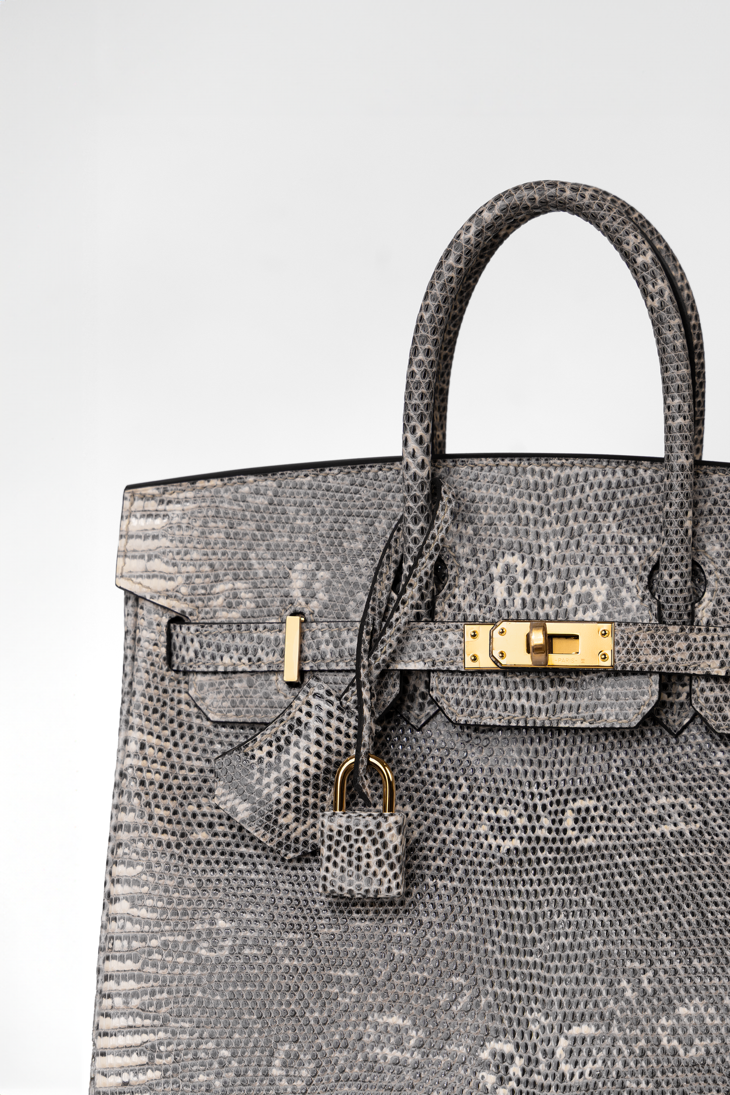 Hermès Birkin 25 Ombré Lizard in PHW & GHW
