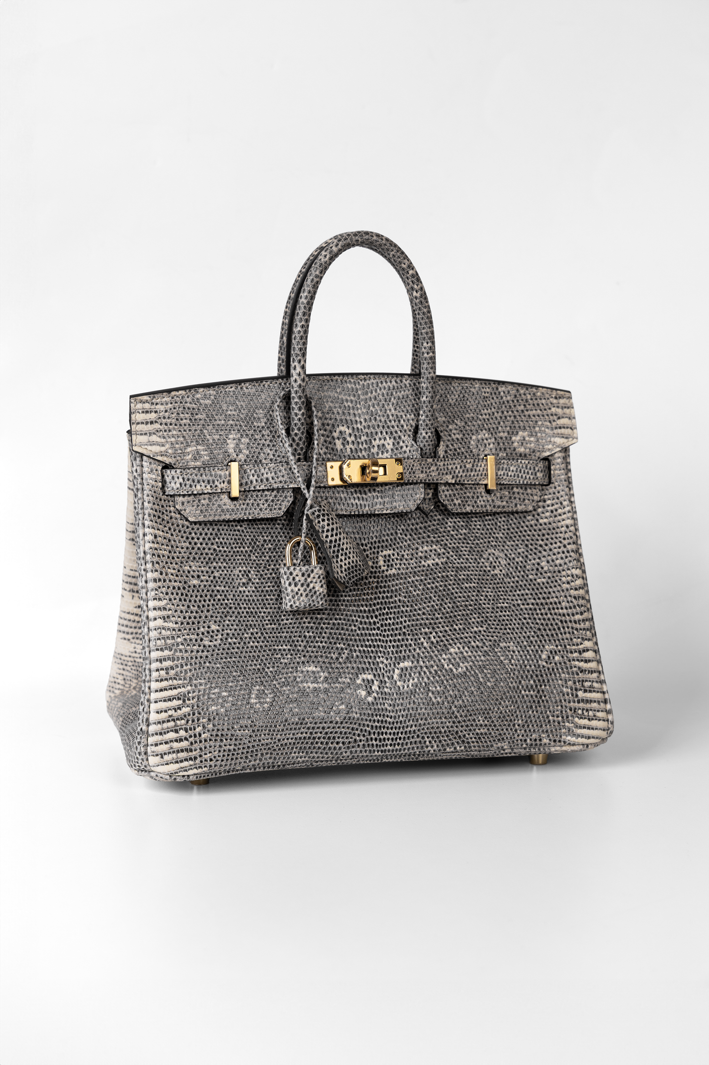 Hermès Birkin 25 Ombré Lizard in PHW & GHW