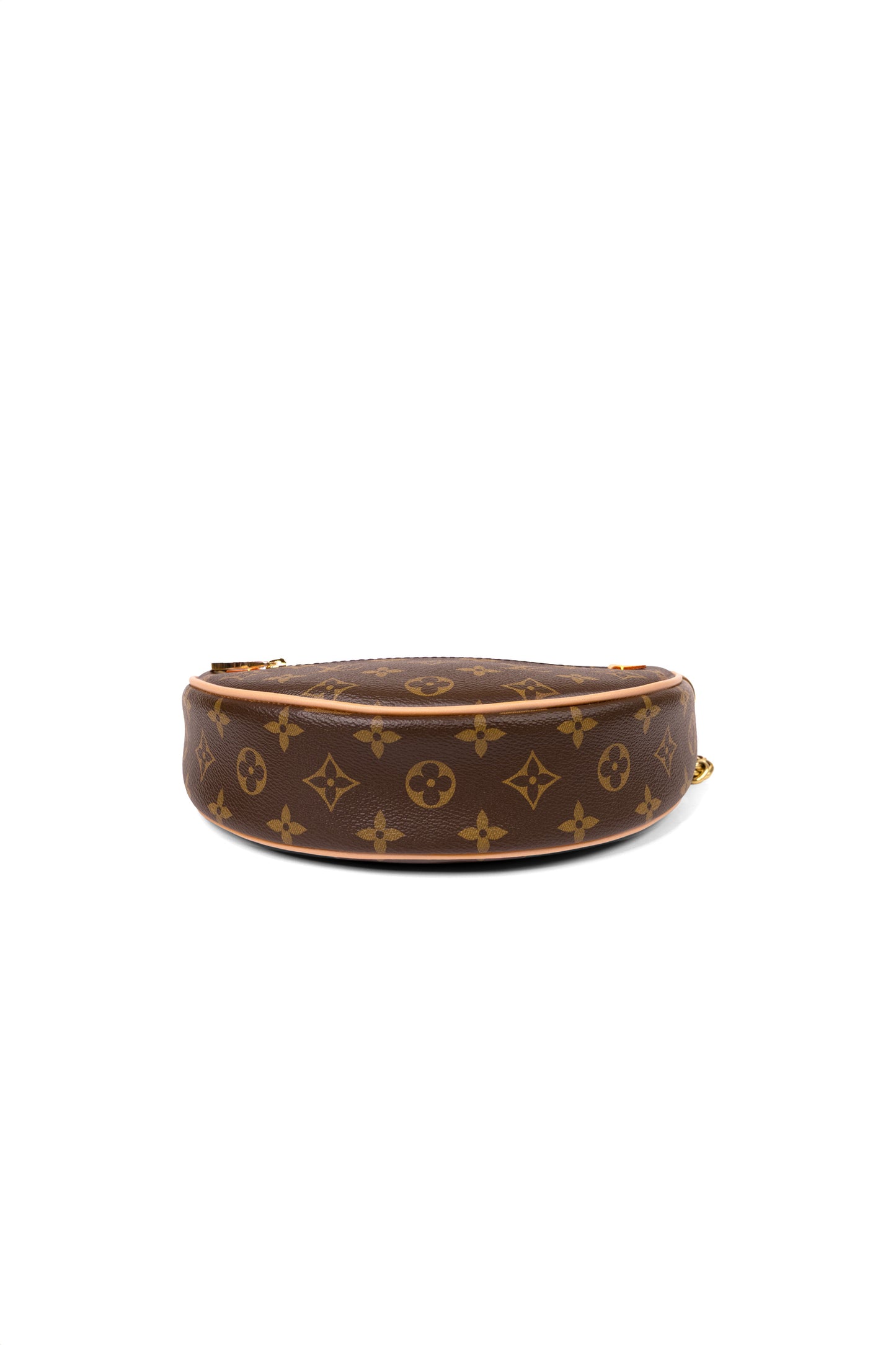 Louis Vuitton Loop Monogram Bag