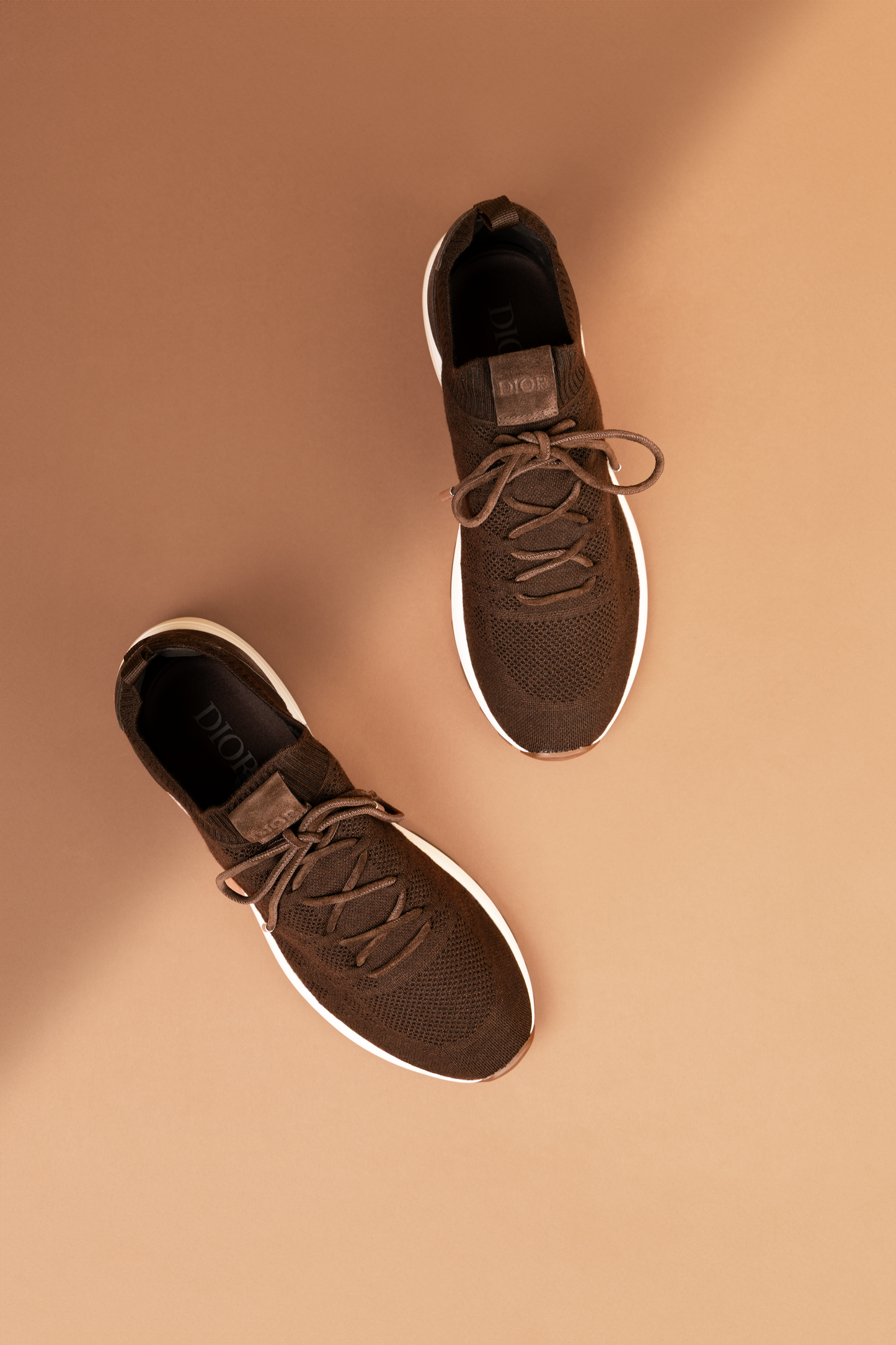 Dior Brown B80 Lounge Sneakers