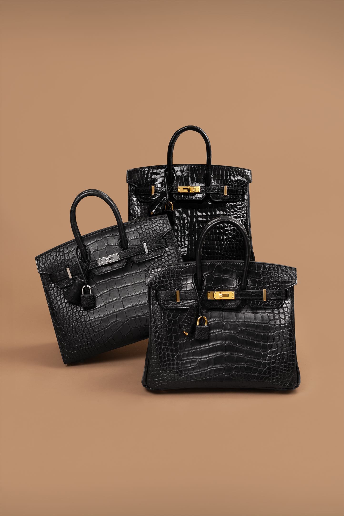 Hermès Birkin 25 Black in Matte Alligator & Shiny Crocodile