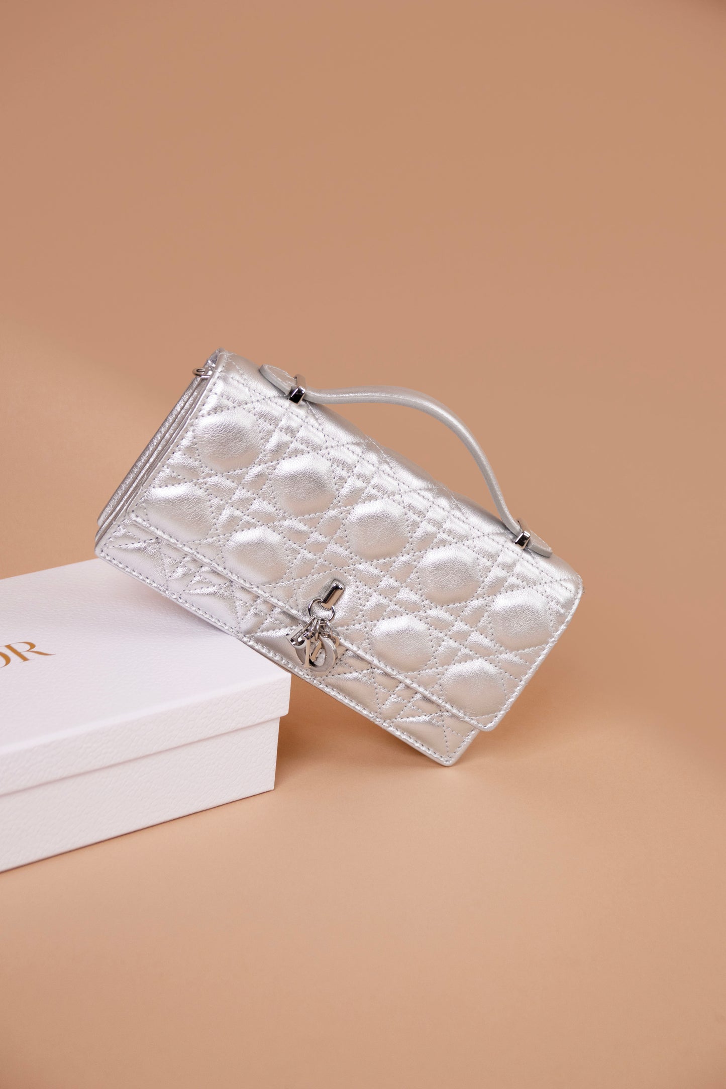 Dior My Dior Mini Bag in Iridescent Metallic Silver Tone Cannage Lambskin