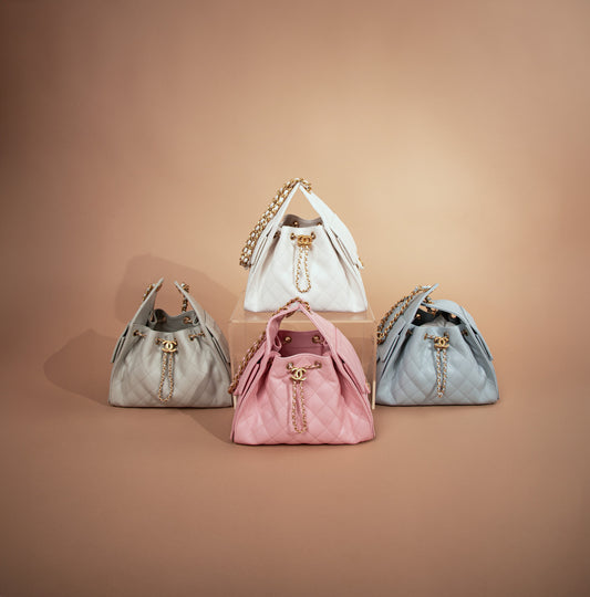 Chanel Hobo 25 Bags in Multicolors