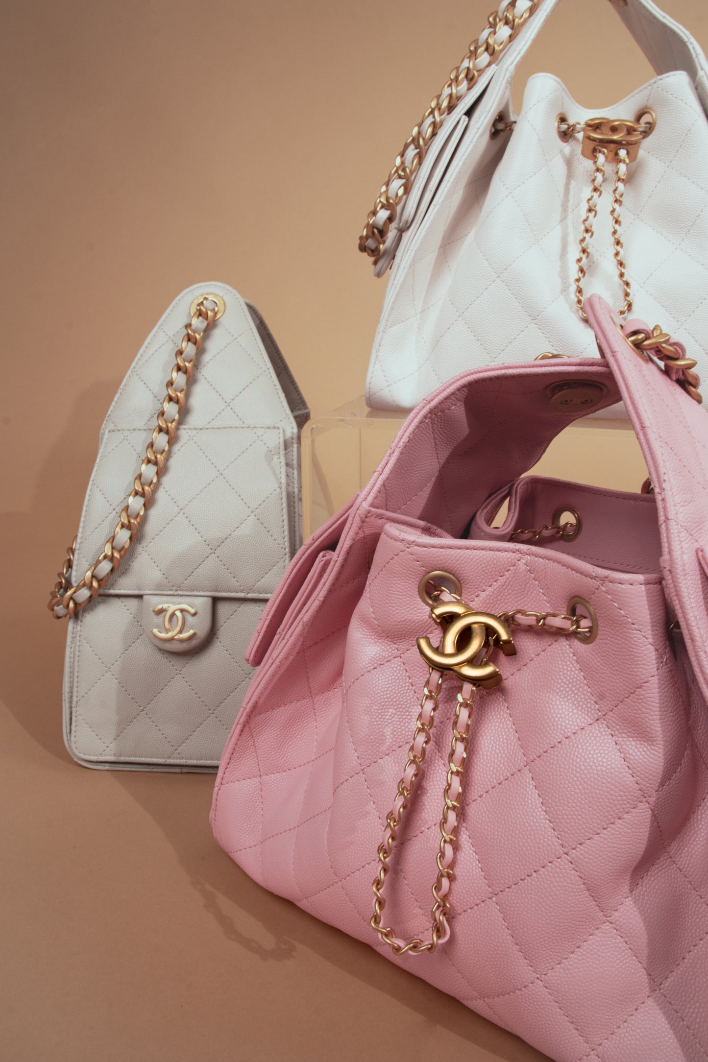 Chanel Hobo 25 Bags in Multicolors