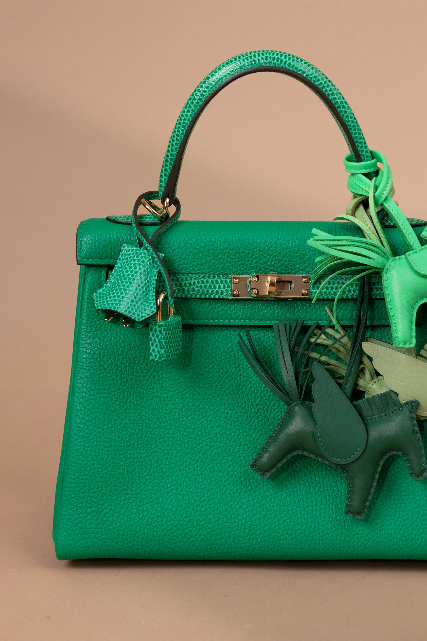 Hermès Kelly 25 Togo Touch Lizard in Menthe GHW