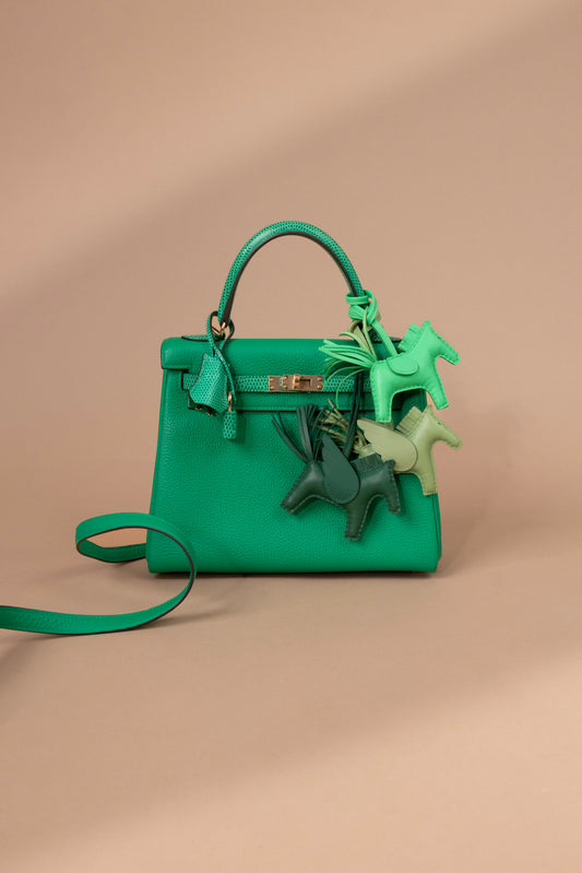 Hermès Kelly 25 Togo Touch Lizard in Menthe GHW