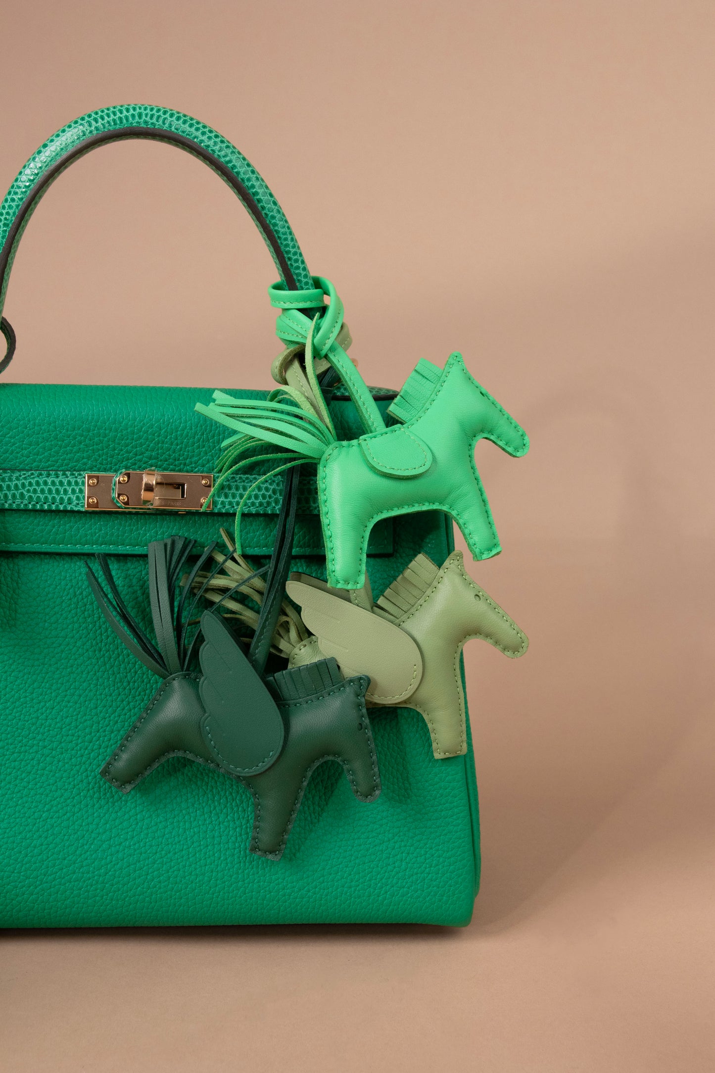 Hermès Kelly 25 Togo Touch Lizard in Menthe GHW