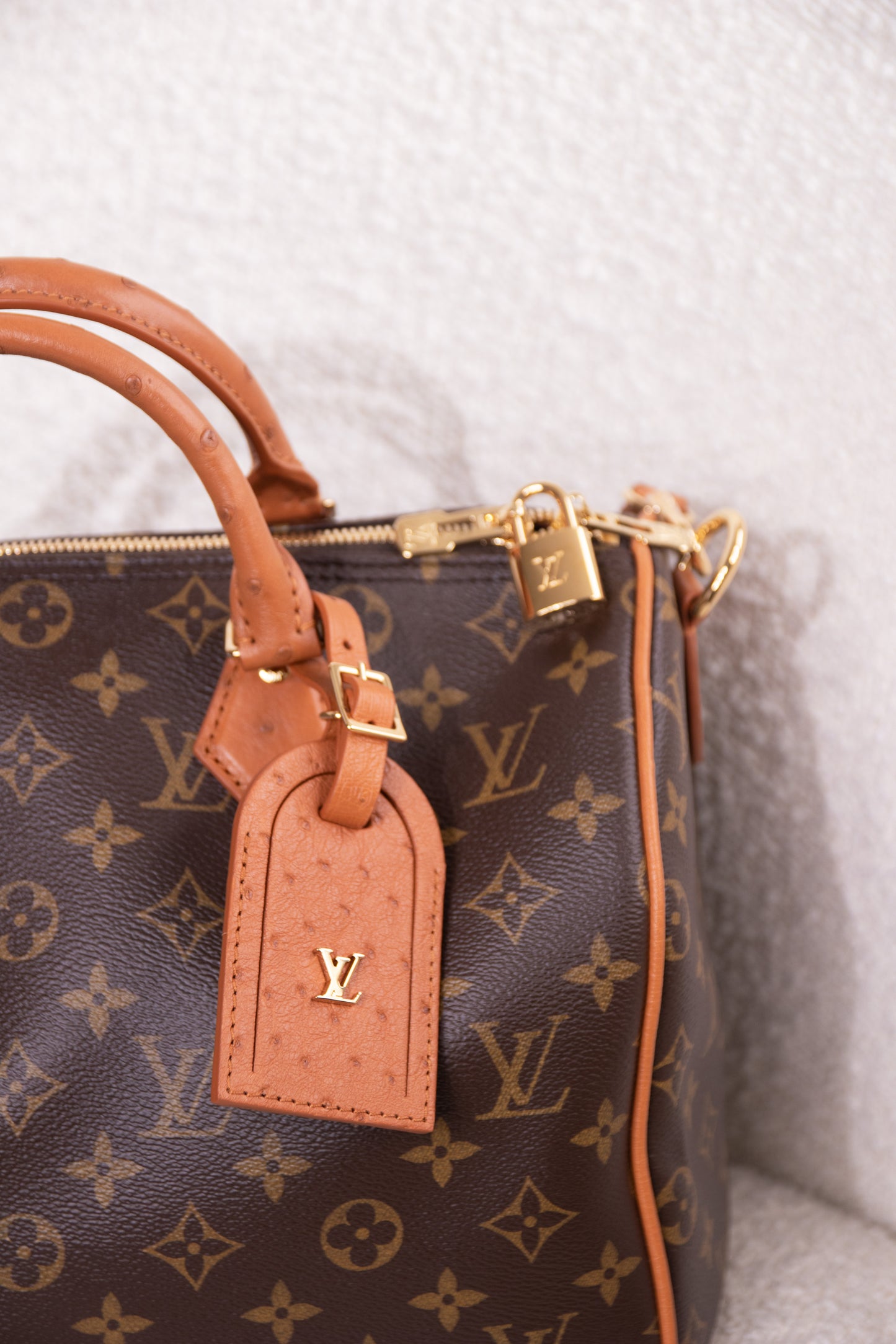 Louis Vuitton Speedy Soft 30 Boho Bag