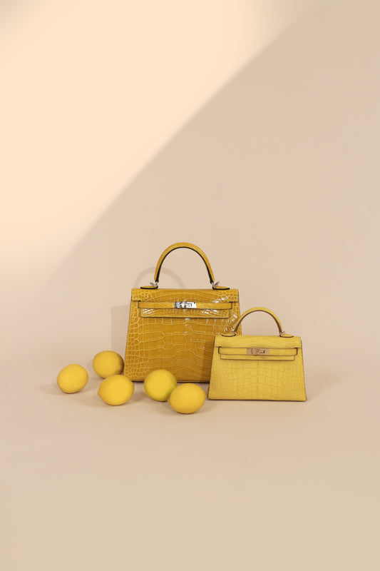 Hermès Shiny Kelly 25 & Mini Kelly 20 Matte Alligator Mimosa PHW