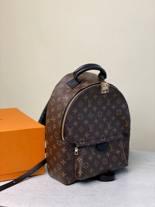 Louis Vuitton Palm Springs PM Backpack